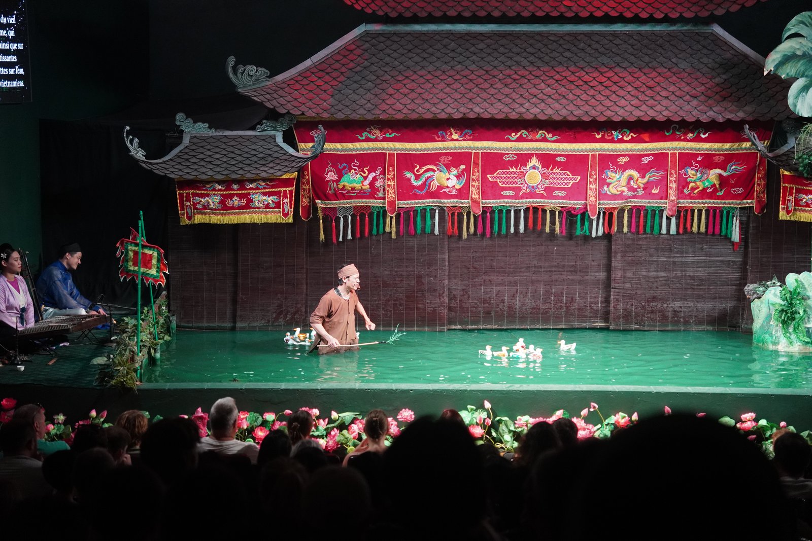 Photo - photo 12