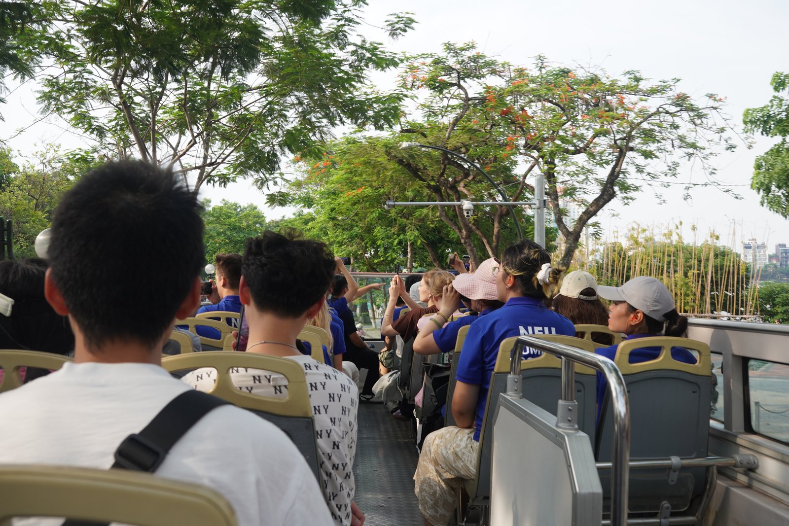 Photo - photo 10